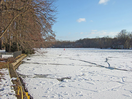 Eis im Wald - Berlin (Berlin)