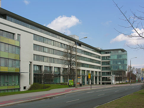 Technische Universität - Sachsen (Dresden)