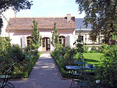 Garten vom Kirms Krackow Haus Foto 